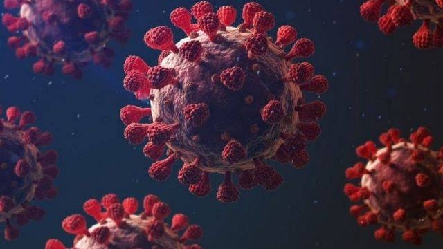 «الإنترفيرون» .. السبب الرئيس لمضاعفات كورونا