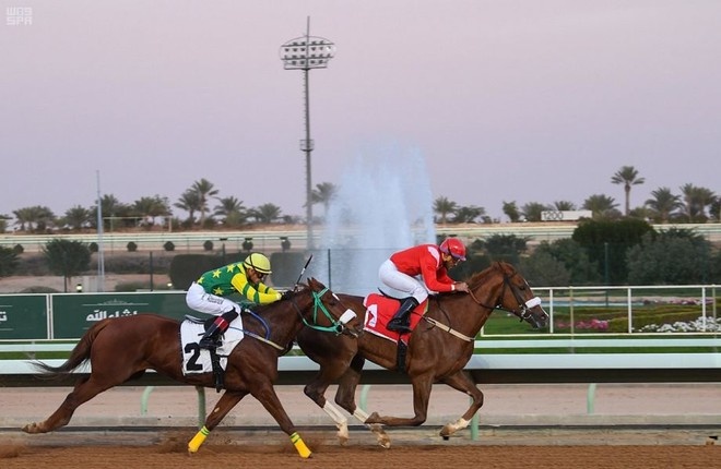 السبت المقبل .. نادي سباقات الخيل يقيم حفل كأسي الملك والخيالة السعوديين المتمرنين