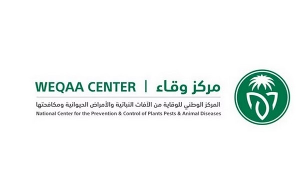 «وقاء»: لا أضرار على المحاصيل الزراعية نتيجة انتشار «الجراد النطاط» في العاصمة المقدسة