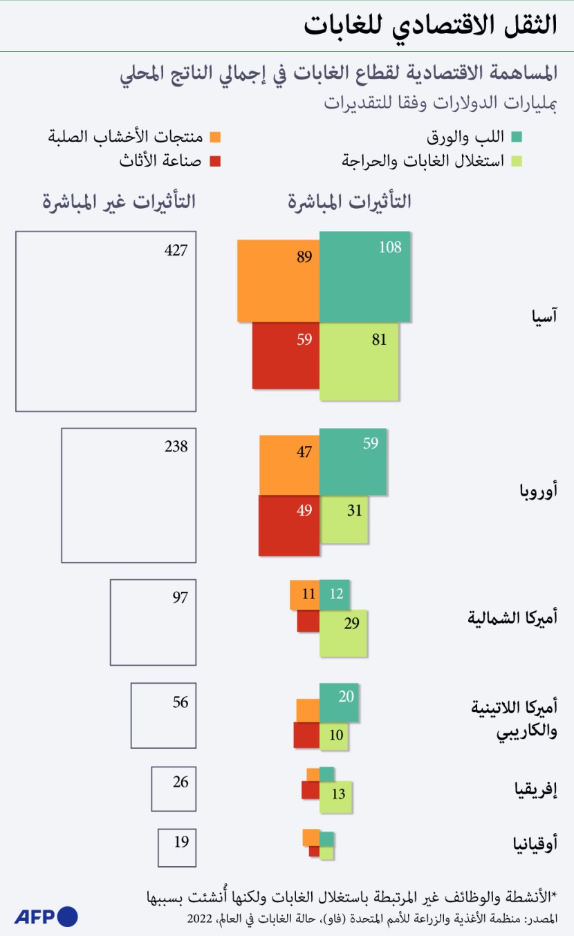 الغابات تغطي ثلث مساحة اليابسة في العالم .. ماهو دورها الاقتصادي؟