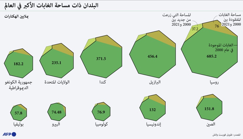الغابات تغطي ثلث مساحة اليابسة في العالم .. ماهو دورها الاقتصادي؟