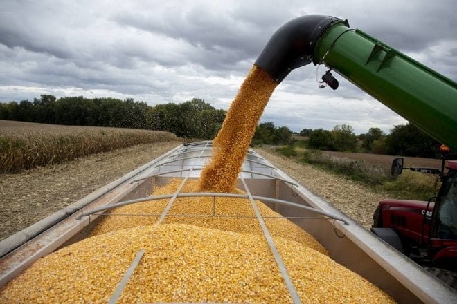 تراجع صادرات الحبوب الأوكرانية 17.7% خلال الموسم الجاري
