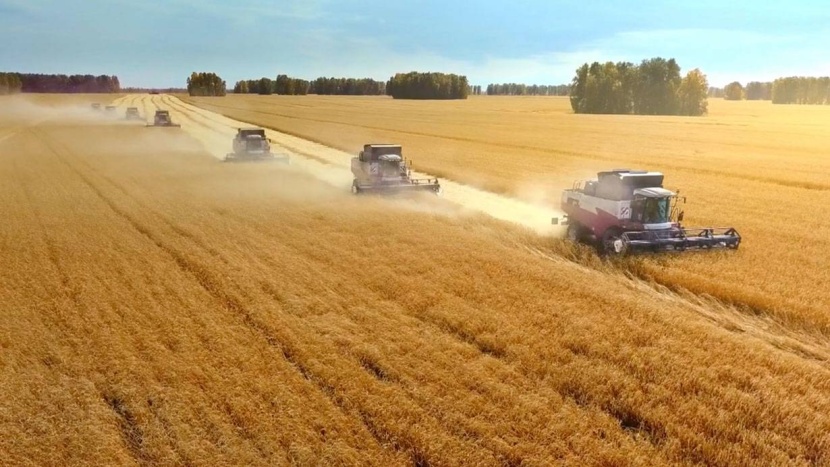 "سالك" وردت 30 % من احتياج السعودية من القمح خلال 2022