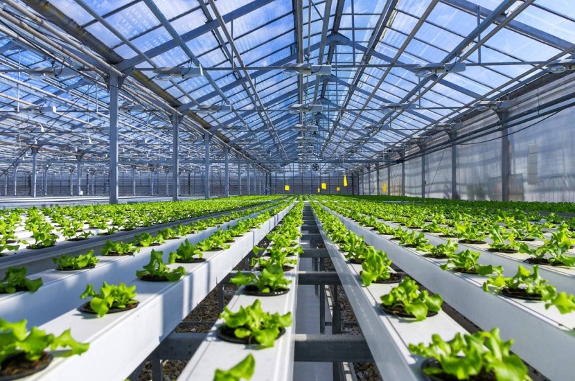 خفض استهلاك الوقود السائل في القطاع الزراعي 95 % بحلول 2030