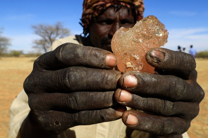 الصمغ العربي المنتج السوداني المستخدم في العالم مهدد بالحرب 