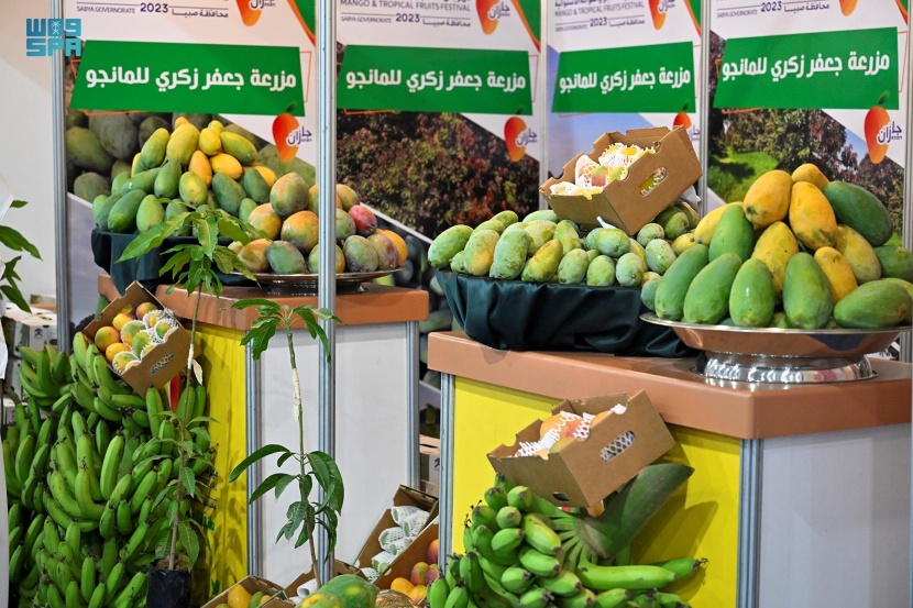 مهرجان المانجو والفواكه الأستوائية في صبيا