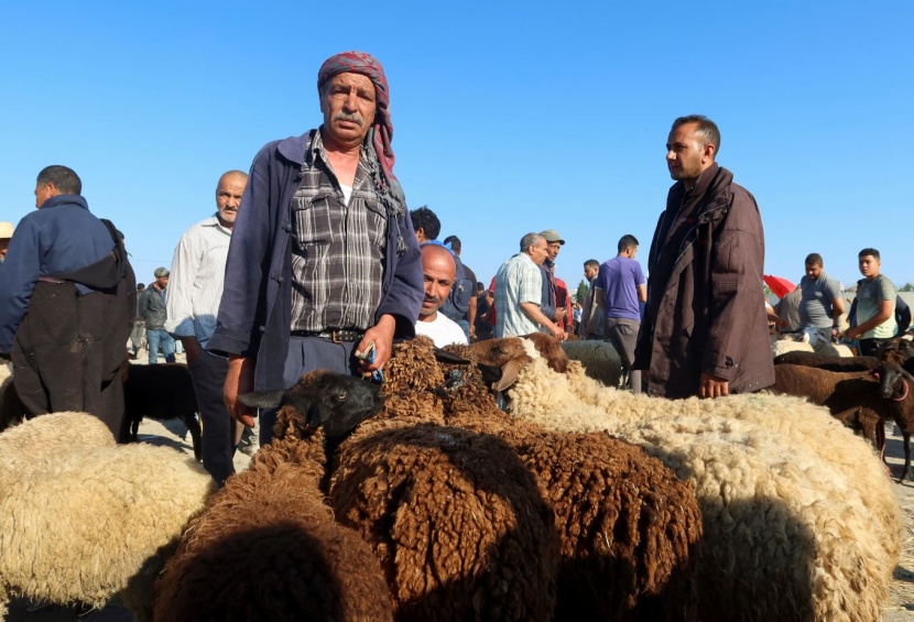 التونسيون يكافحون لشراء الأضاحي مع تفاقم الأزمة الاقتصادية