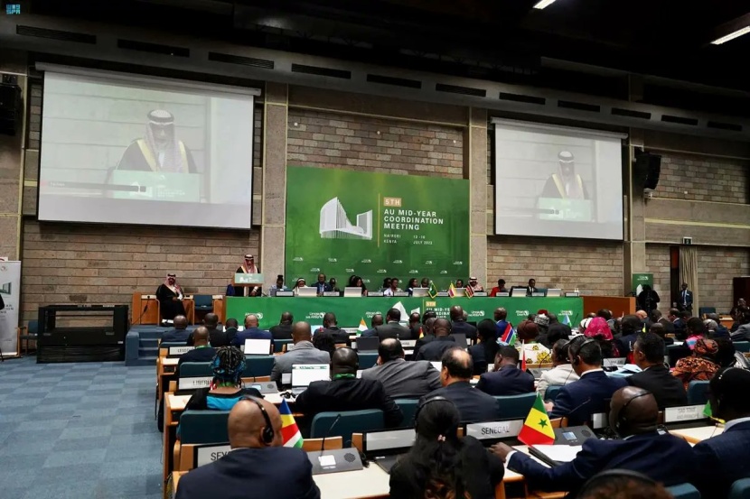 المملكة: ننظر بعين الاعتبار إلى أهمية تحقيق الشراكة السعودية الأفريقية المثمرة