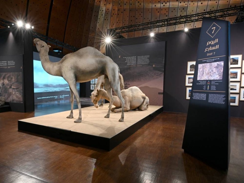 المتحف الوطني يستعد لافتتاح معرض «الهجرة على خطى الرسول»