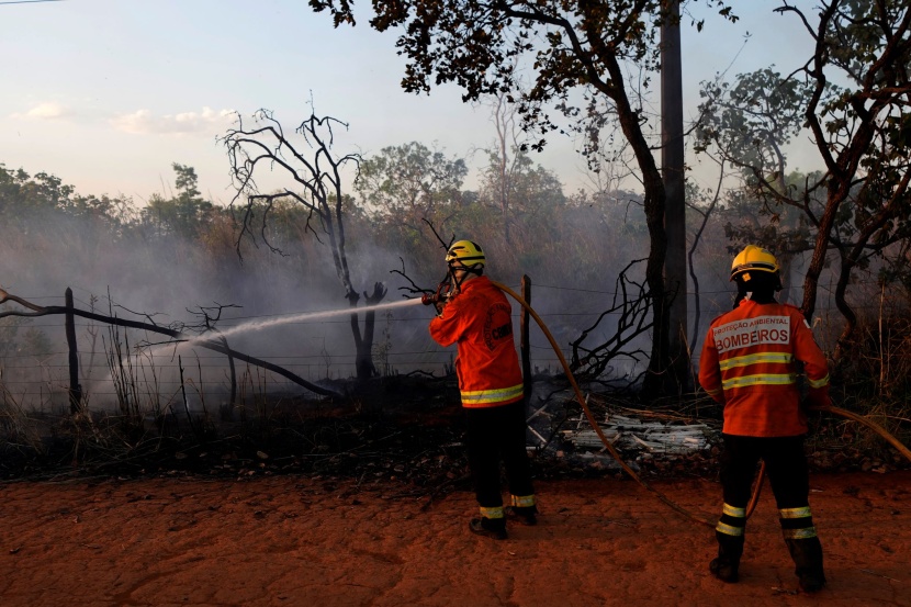 البرازيل تكافح حرائق الغابات