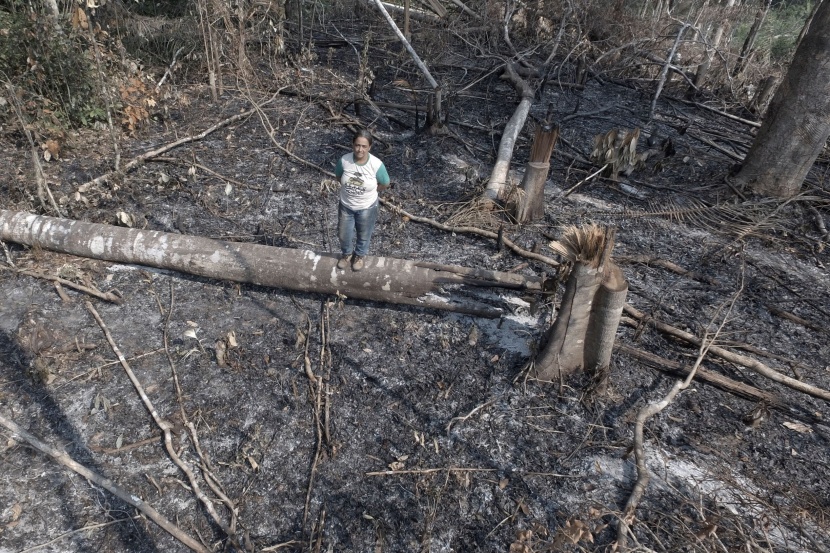 البرازيل .. حريق يتلف أشجار المطاط