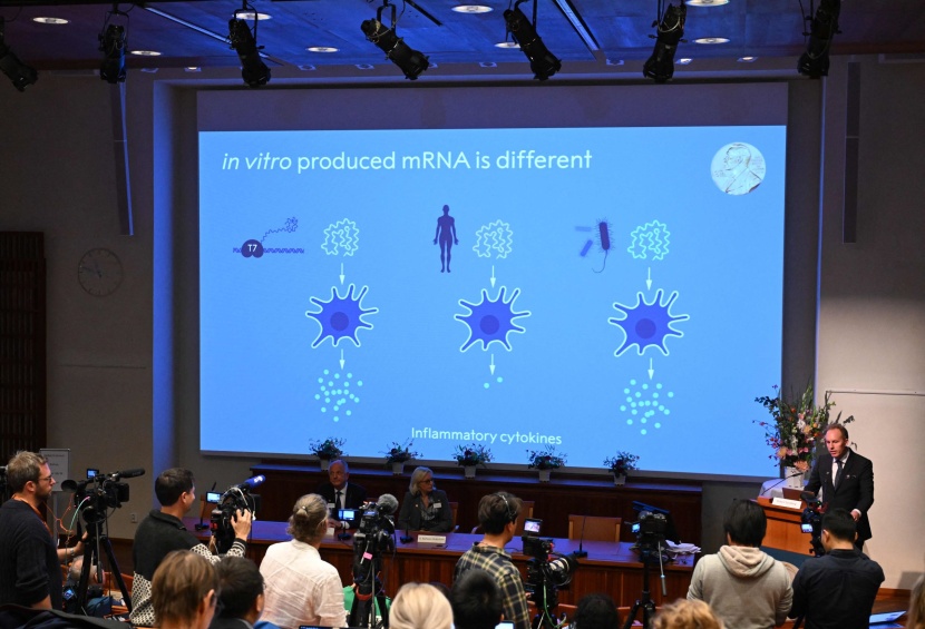 آمال كبيرة على الحمض النووي المرسال في محاربة السرطان
