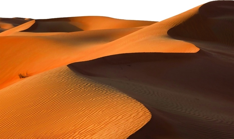 "الأمن البيئي": الكثبان الرملية من مكونات الغطاء النباتي التي يحظر فيها إشعال النار