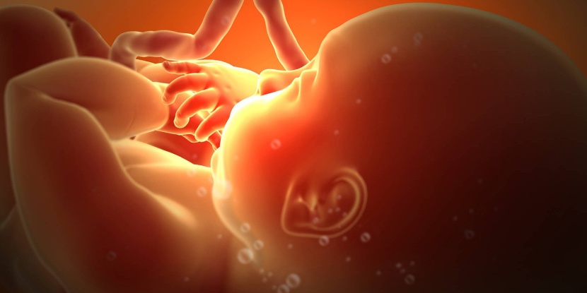 دراسة: اللغة التي يسمعها الجنين خلال فترة الحمل تؤثر على تطوره العقلي