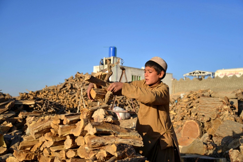 أفغانستان .. الأطفال يستعدون لقسوة الشتاء بجمع الحطب