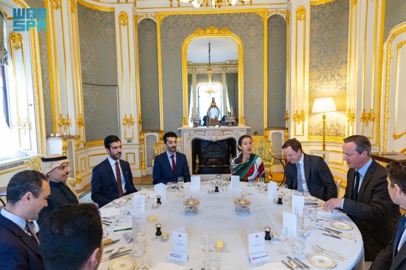 وزير الخارجية يبحث مع نظيره البريطاني أهمية خطوات وقف إطلاق النار في غزة