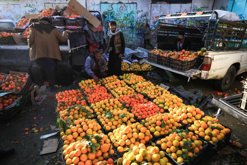 اليمن .. موسم اليوسفي والبرتقال