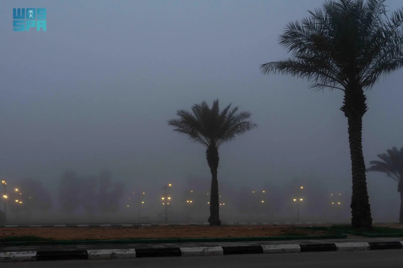 الضباب الكثيف يخيم على أجواء رفحاء