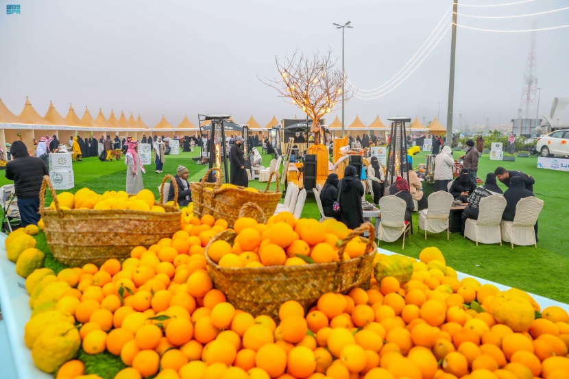 مهرجان "حمضيات حائل" يختتم فعالياته وسط حضور كثيف