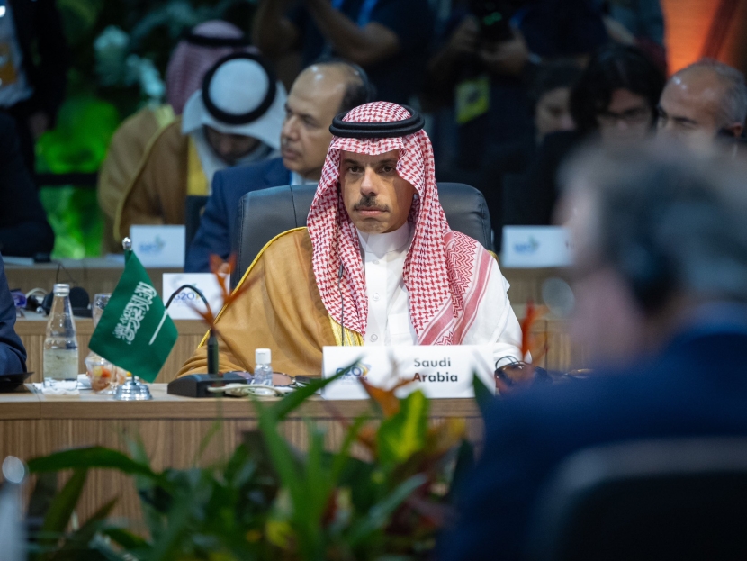 وزير الخارجية : دول العشرين تتحمل مسؤولية التحرك لإنهاء كارثة غزة