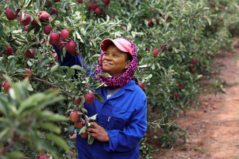 الولايات المتحدة تطلق مبادرة لزيادة واردات الأغذية من إفريقيا 10 % خلال 18 شهرا