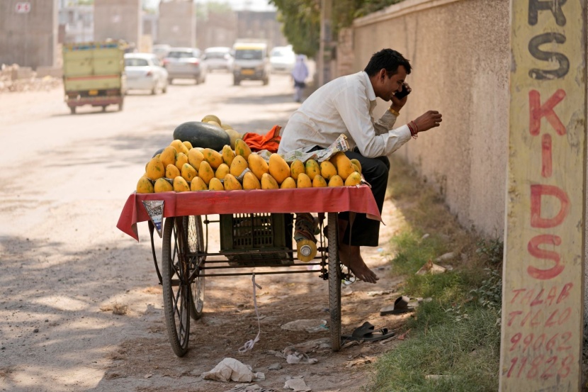 بيع المانجو رغم حرارة الطقس