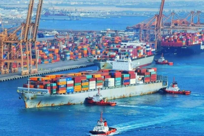 واردات الماشية ترفع المناولة في الموانئ السعودية 9.1 % خلال يوليو