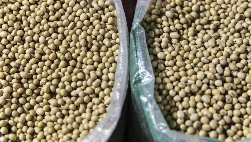 الصين توقف تماماً استيراد الغاز والقمح من الولايات المتحدة