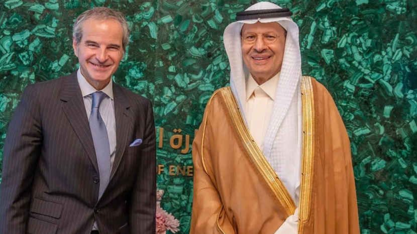 وزير الطاقة يبحث مع مدير الوكالة الدولية للطاقة الذرية مستجدات البرنامج السعودي