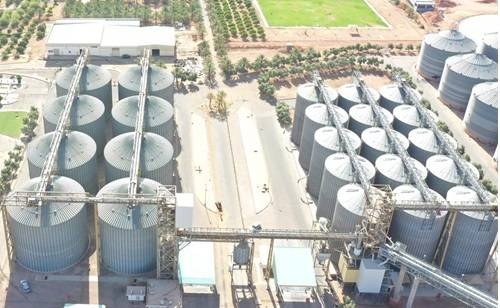 تسعير القمح دون تغيير.. "المطاحن العربية" تعلن استمرار تطبيق سياسة الدعم الحكومي