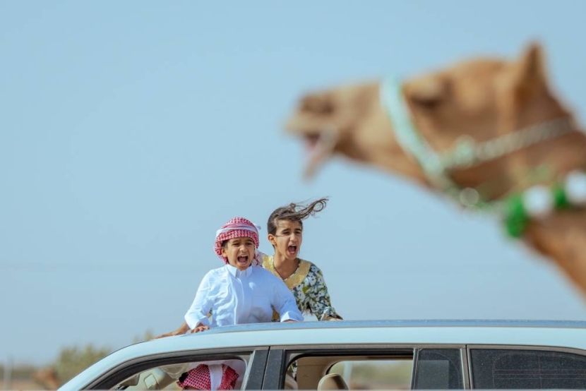 الهجن السعودية تسيطر على 25 شوطا .. و120% ارتفاع إشغال وحدات الطائف السكنية