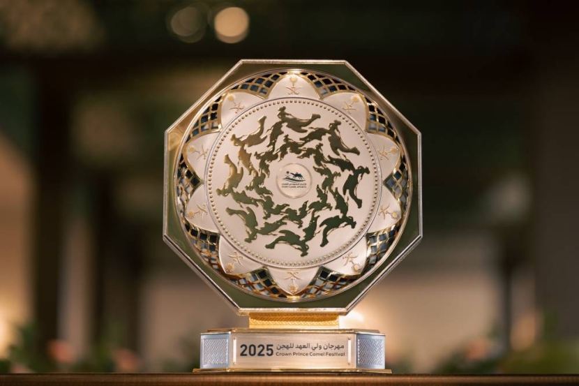 مهرجان ولي العهد للهجن يتجاوز 100 ألف مطية .. وأشواط الكؤوس تنطلق غدا
