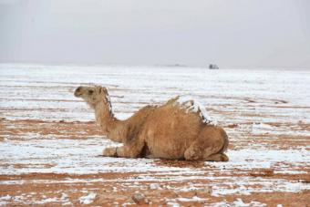 اليوم .. انخفاض درجات الحرارة وهطول أمطار على الرياض
