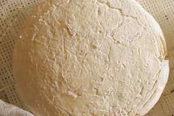 مشروع بين السعودية و«الفاو» لإنتاج الأجبان من حليب النوق