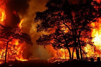 حرائق الغابات الأسترالية يدفع سيدني لقائمة أكثر 10 مدن تلوثا