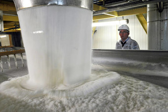 أزمة هائلة في إنتاج السكر بسبب نقص المحصول في أمريكا