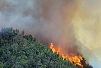 حرائق الغابات في أستراليا تصل إلى مستوى الطوارئ 