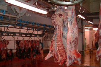 بنك حكومي برازيلي يخطط لبيع حصته في ثاني أكبر شركة لإنتاج اللحوم في العالم