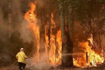 أستراليا تعلن فتح تحقيق بشأن حرائق الغابات