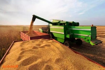 البرازيل تلغي مؤقتا الرسوم على واردات فول الصويا والذرة 