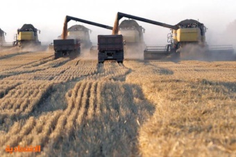 روسيا تفرض ضريبة على صادرات القمح وسط خطوات تهدف لاستقرار أسعار الغذاء 