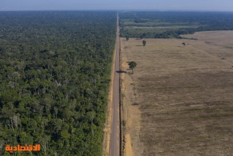 للشهر الثالث على التوالي.. إزالة غابات الأمازون عند مستويات قياسية