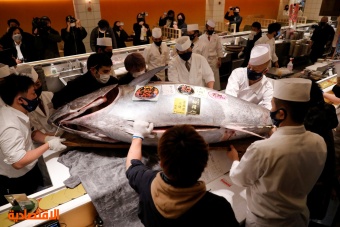 خلال أول مزادات العام الجديد .. بيع سمكة تونة بنحو 145 ألف دولار في طوكيو 