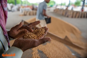 أسعار القمح الهندي ترتفع لمستويات قياسية مع تزايد الطلب وتراجع المعروض