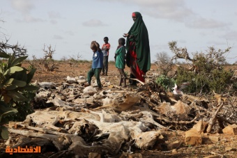 5 مواسم دون أمطار .. القرن الأفريقي على شفا كارثة إنسانية لم يسبق لها مثيل
