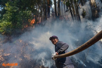 4 حرائق مقلقة تقترب من السكان في تشيلي