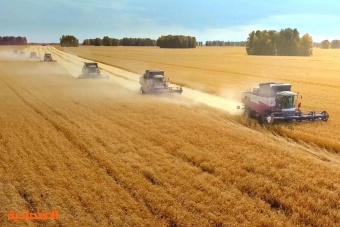 "سالك" وردت 30 % من احتياج السعودية من القمح خلال 2022