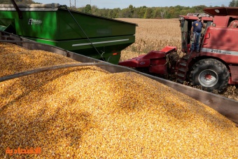 شركات أرجنتينية تخفض توقعاتها لمحصولي فول الصويا والذرة بسبب الجفاف والصقيع 