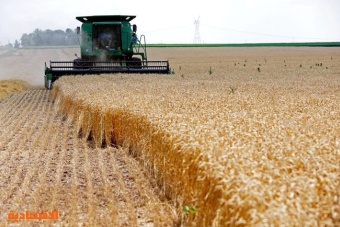 سلوفاكيا تحظر واردات القمح الأوكراني بسبب المبيدات الحشرية
