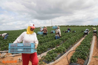 نموذج المغرب الزراعي هل يواجه التضخم القياسي والتقلبات المناخية ؟